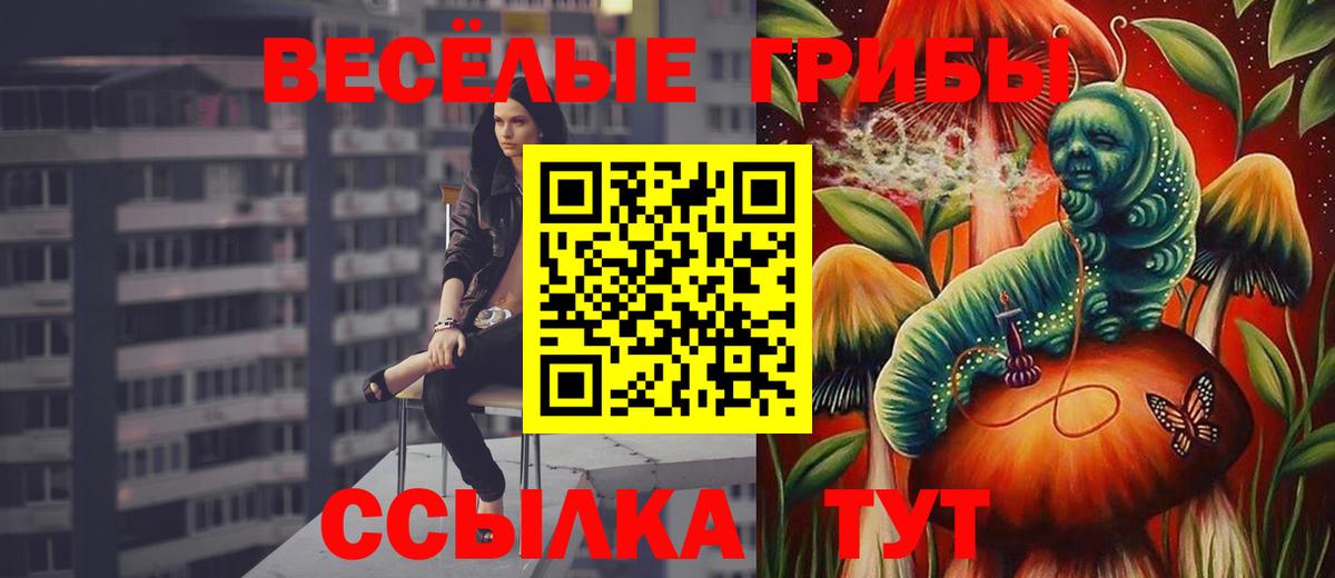 Галлюциногенные грибы Psilocybine cubensis Среднеуральск