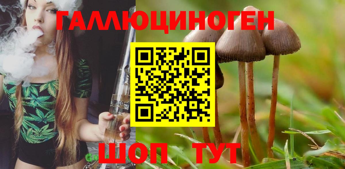 Псилоцибиновые грибы GOLDEN TEACHER  Вход с VPN  продажа наркотиков  Среднеуральск 
